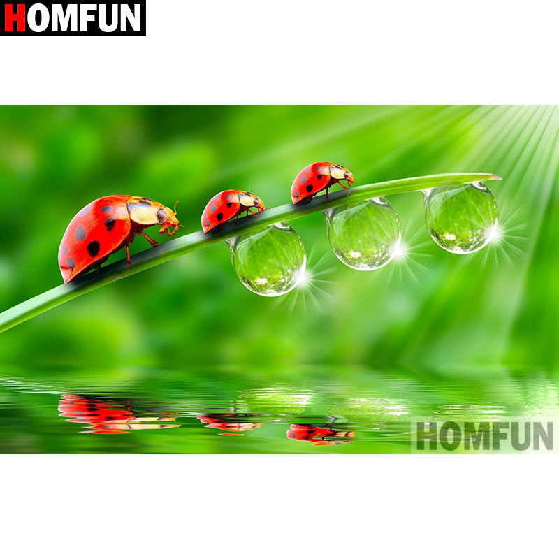 HOMFUN Art 5D Diy Diamond Pain - Embroidery Lady Bug recension och pris